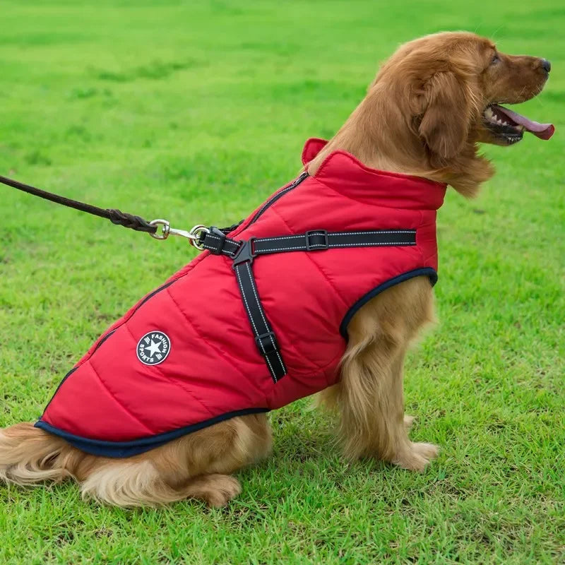 Veste Imperméable et Chaude pour Chiens