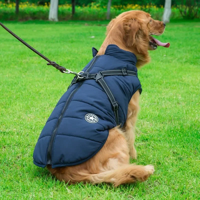 Veste Imperméable et Chaude pour Chiens