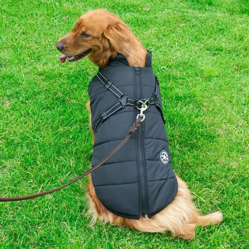 Veste Imperméable et Chaude pour Chiens