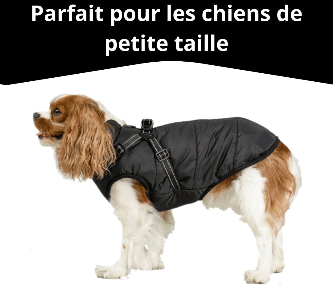 Veste Imperméable et Chaude pour Chiens